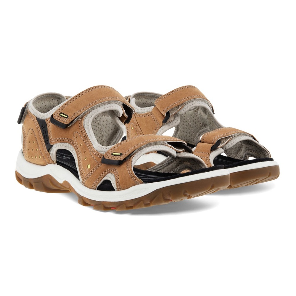 Ecco OffRoad Lite